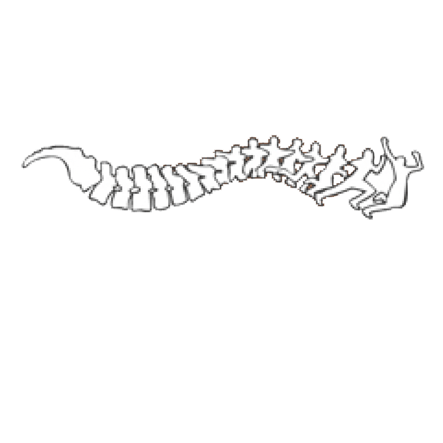 Back in Motion Logo